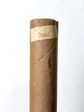 Load image into Gallery viewer, Banksy vs. Bristol Museum: David (With Original Tube) Print Banksy