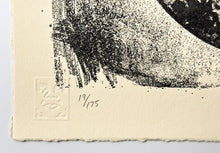 Load image into Gallery viewer, Big Brother Letterpress Print Shepard Fairey