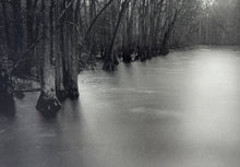 Load image into Gallery viewer, Blackwater at Disputanta Print Sally Mann