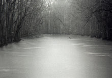 Load image into Gallery viewer, Blackwater at Disputanta Print Sally Mann
