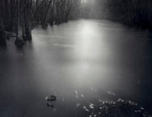 Load image into Gallery viewer, Blackwater at Disputanta Print Sally Mann