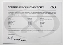 Load image into Gallery viewer, Complete Set of 6 Hand Painted Ceramic Plates Ceramic CB Hoyo