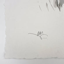 Load image into Gallery viewer, Descending (Hand-finished) Print - Hand Embellished Mark Maggiori