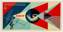 Load image into Gallery viewer, Disinformation Damage Print Shepard Fairey