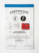 Load image into Gallery viewer, Dripping Tags Print COPE2