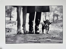 Load image into Gallery viewer, Felix, Gladys and Rover Print Elliott Erwitt