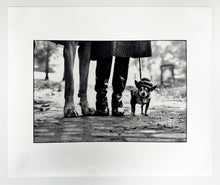 Load image into Gallery viewer, Felix, Gladys and Rover Print Elliott Erwitt