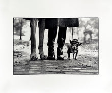 Load image into Gallery viewer, Felix, Gladys and Rover Print Elliott Erwitt