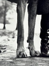 Load image into Gallery viewer, Felix, Gladys and Rover Print Elliott Erwitt