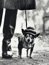 Load image into Gallery viewer, Felix, Gladys and Rover Print Elliott Erwitt