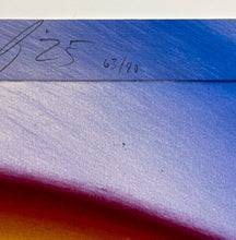 Load image into Gallery viewer, Flowerpower Print Kenny Scharf