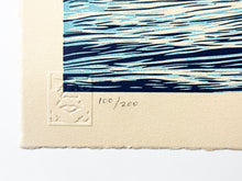 Load image into Gallery viewer, Force of Nature Letterpress Print Shepard Fairey