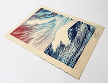 Load image into Gallery viewer, Force of Nature Letterpress Print Shepard Fairey