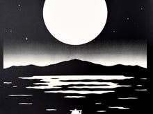 Load image into Gallery viewer, Galapagos Islands (Nightfall) Print Cleon Peterson