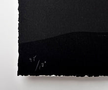 Load image into Gallery viewer, Galapagos Islands (Nightfall) Print Cleon Peterson