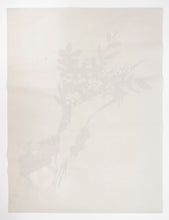 Load image into Gallery viewer, GDP Flower Thrower - Bouquet Print Banksy