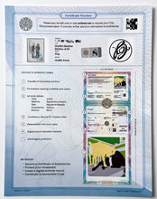 Load image into Gallery viewer, Graffiti Shadow Print Flog