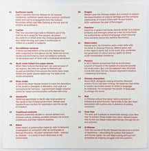 Load image into Gallery viewer, Guardian Print Ai Weiwei