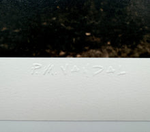 Load image into Gallery viewer, Japanese Garden (Large Format Photo Print) Print Robert Edward