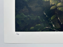 Load image into Gallery viewer, Japanese Garden (Large Format Photo Print) Print Robert Edward
