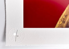 Load image into Gallery viewer, Madeleine Print Fin DAC