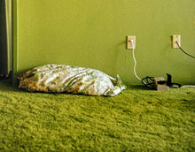 Load image into Gallery viewer, Mom in Green Nightgown Print Larry Sultan