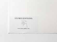 Load image into Gallery viewer, Monkey Parliament Print Mason Storm