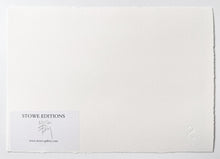 Load image into Gallery viewer, Monkey Parliament Print Mason Storm