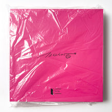 Load image into Gallery viewer, Panda Cubs. Hoyoyo, ZZZZZ. Ceramic Takashi Murakami