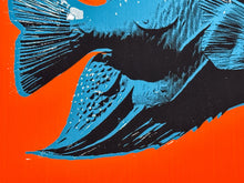Load image into Gallery viewer, Pastel Editions - Fish (Blue/Red) Print CJ Hendry