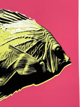 Load image into Gallery viewer, Pastel Editions - Fish (Green/Pink) Print CJ Hendry