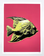 Load image into Gallery viewer, Pastel Editions - Fish (Green/Pink) Print CJ Hendry