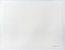 Load image into Gallery viewer, Planar Panel Studies: Vast and Specific Print Andrea Zittel