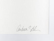 Load image into Gallery viewer, Planar Panel Studies: Vast and Specific Print Andrea Zittel
