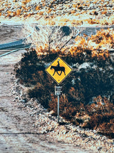 Load image into Gallery viewer, Red Rock Canyon (Large Format Photo Print) Print Robert Edward