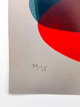 Load image into Gallery viewer, Shadow Print Erik Jones