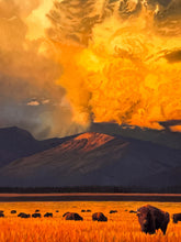 Load image into Gallery viewer, The Prophecy Print Mark Maggiori