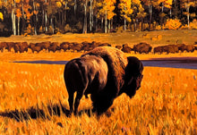 Load image into Gallery viewer, The Sovereigns Print Mark Maggiori