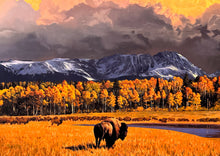 Load image into Gallery viewer, The Sovereigns Print Mark Maggiori