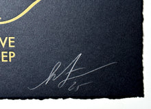 Load image into Gallery viewer, They Live We Sleep (Black) Print Shepard Fairey