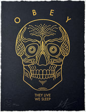 Load image into Gallery viewer, They Live We Sleep (Black) Print Shepard Fairey