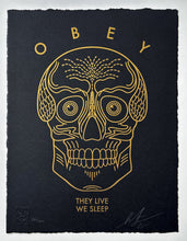 Load image into Gallery viewer, They Live We Sleep (Black) Print Shepard Fairey