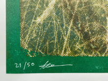 Load image into Gallery viewer, Vagrant Crown (Vermis II) Print Plastiboo