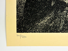 Load image into Gallery viewer, Warning Sign Print Shepard Fairey