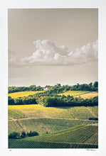 Load image into Gallery viewer, Wurzburg Country Print Robert Edward