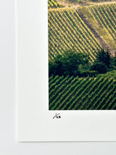 Load image into Gallery viewer, Wurzburg Country Print Robert Edward