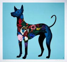 Load image into Gallery viewer, Xolo Viajero Print Gustavo Rimada