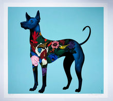 Load image into Gallery viewer, Xolo Viajero Print Gustavo Rimada