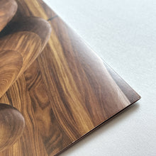 Load image into Gallery viewer, Along The Way Showcard (Framed) Book/Booklet KAWS