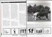 Load image into Gallery viewer, Banging Your Head Against A Brick Wall Book/Booklet Banksy